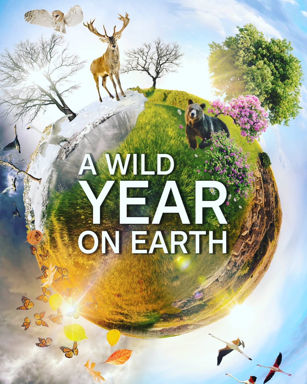A Wild Year on Earth (2020) постер
