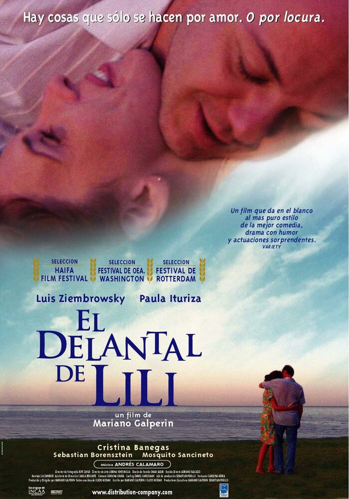 El delantal de Lili (2004) постер