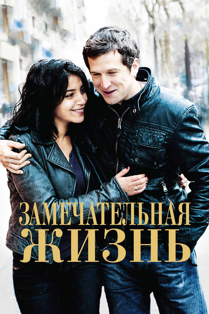 Замечательная жизнь (2011) постер