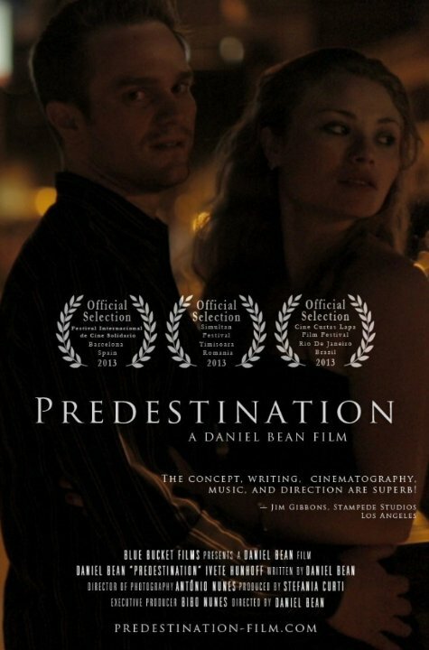 Predestination (2013) постер