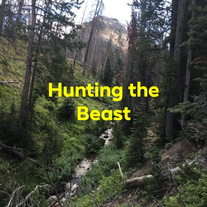 Hunting the beast (2020) постер