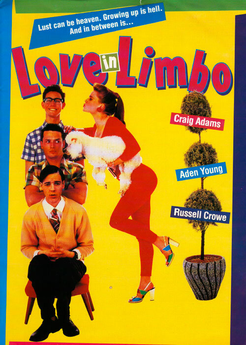 Любовь в ритме лимбо (1993) постер