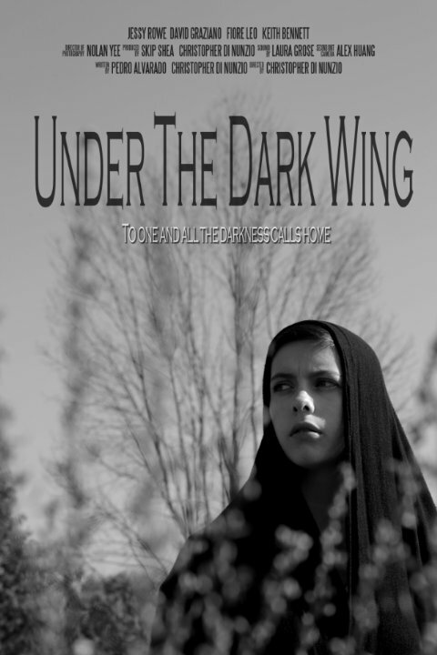 Under the Dark Wing (2014) постер
