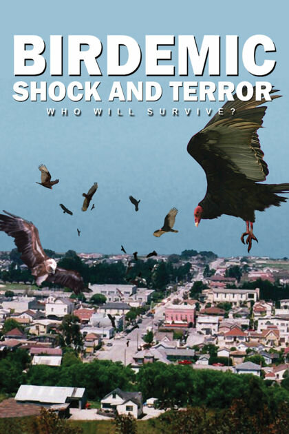 Птицекалипсис: Шок и трепет (2010) постер