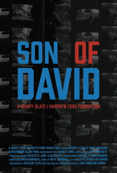 Son of David (2011) постер