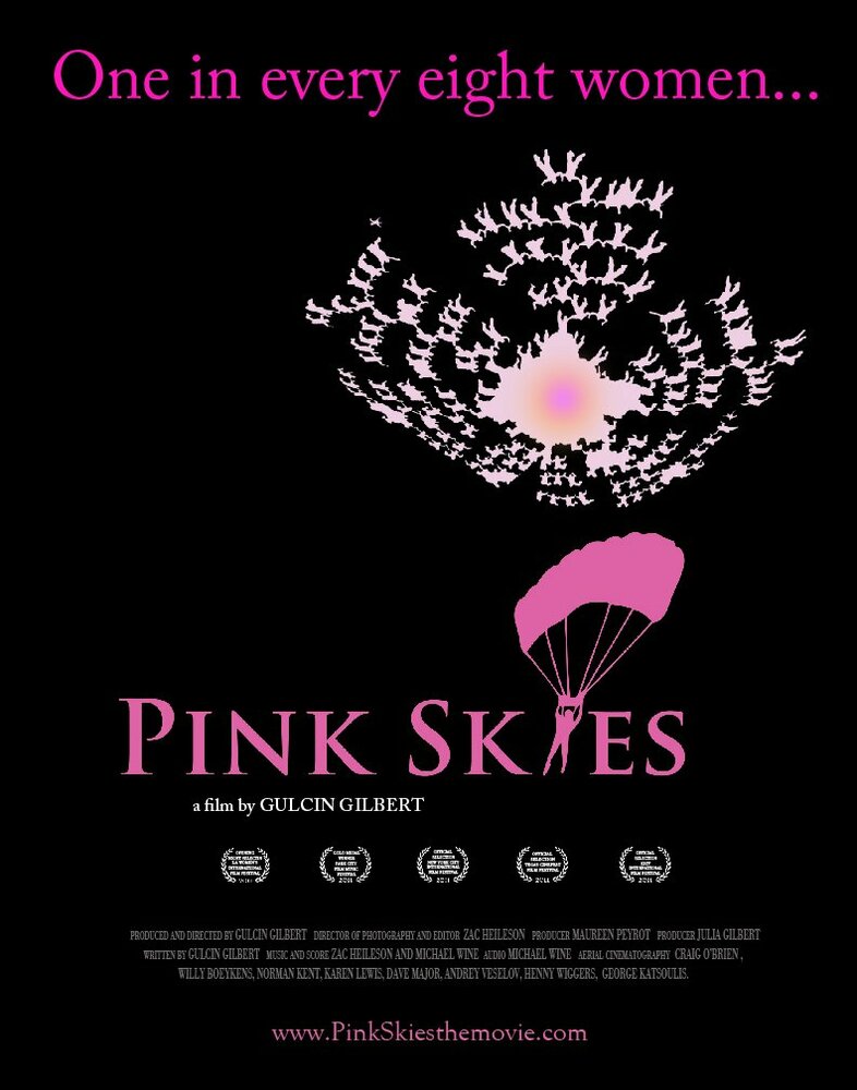 Розовое небо (2011) постер