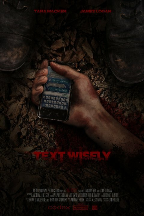 Text Wisely (2014) постер